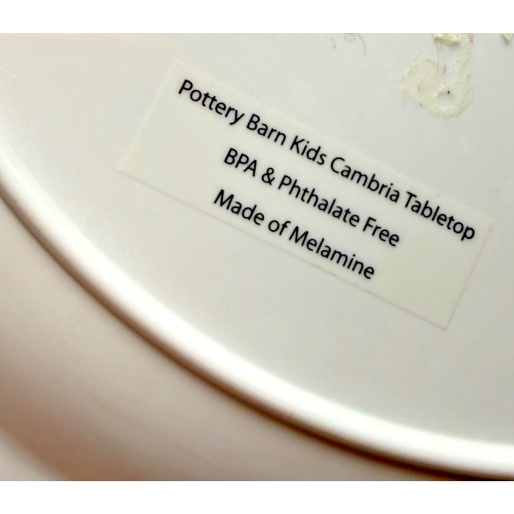 Peanuts Snoopy Pottery Barn Thanksgiving Holiday 5 Piece Plate Set Kids Melamine - Picture 3 of 8